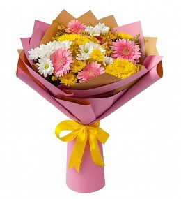 GELBERA PAPATYA 22 no