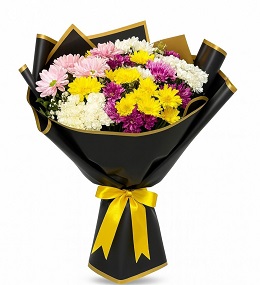 KARIŞIK PAPATYA 21 no