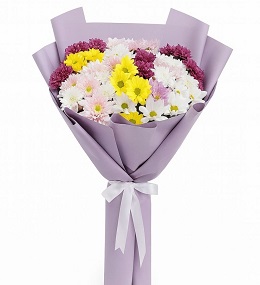 KARIŞIK PAPATYA 16 no